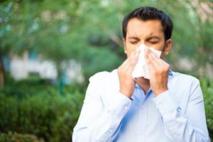 spring and fall allergy sufferers