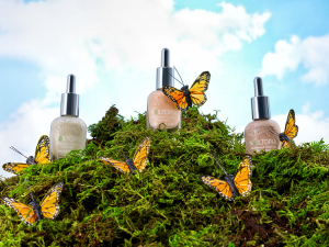 Nailtopia nudes nail lacquers