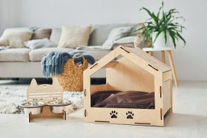 Cat house and bowl holder